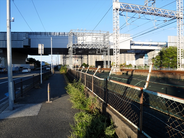 2024年11月19日 撮影