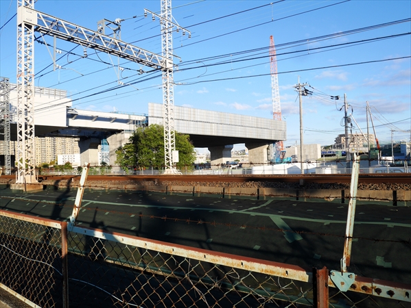 2024年11月19日 撮影