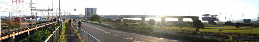 2024年11月19日 撮影