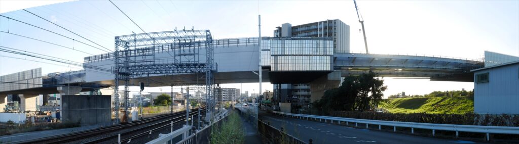 2024年11月19日 撮影