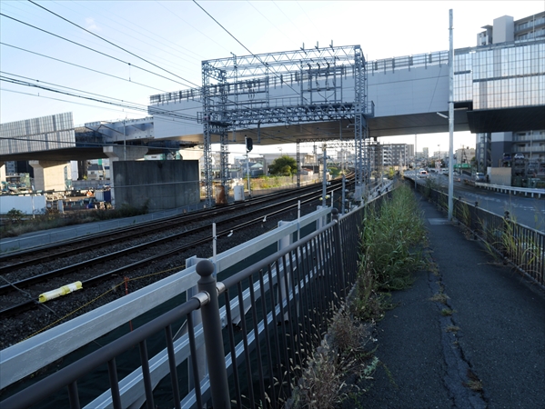 2024年11月19日 撮影