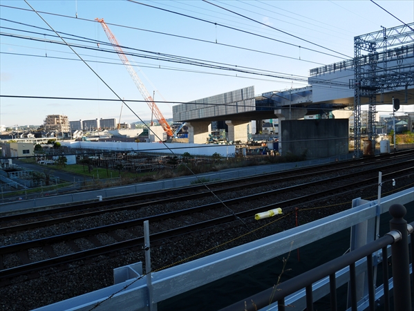 2024年11月19日 撮影