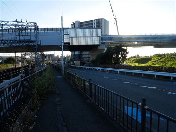 2024年11月19日 撮影