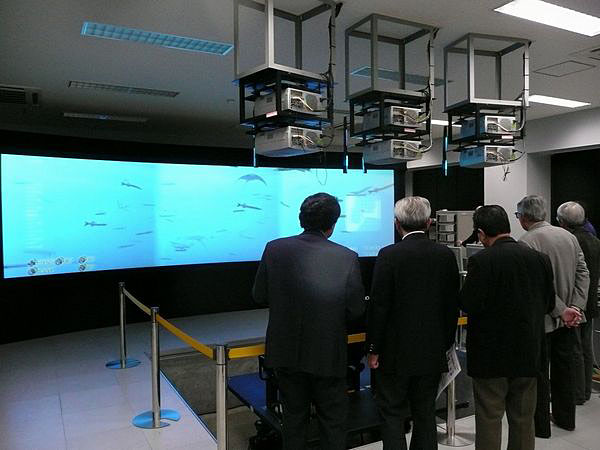 水中の魚が立体的に見える