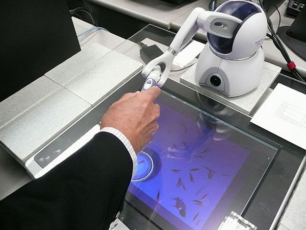 金魚すくい疑似体験