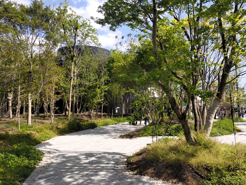 「静けさの森」