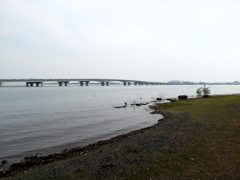 遠くに近江大橋