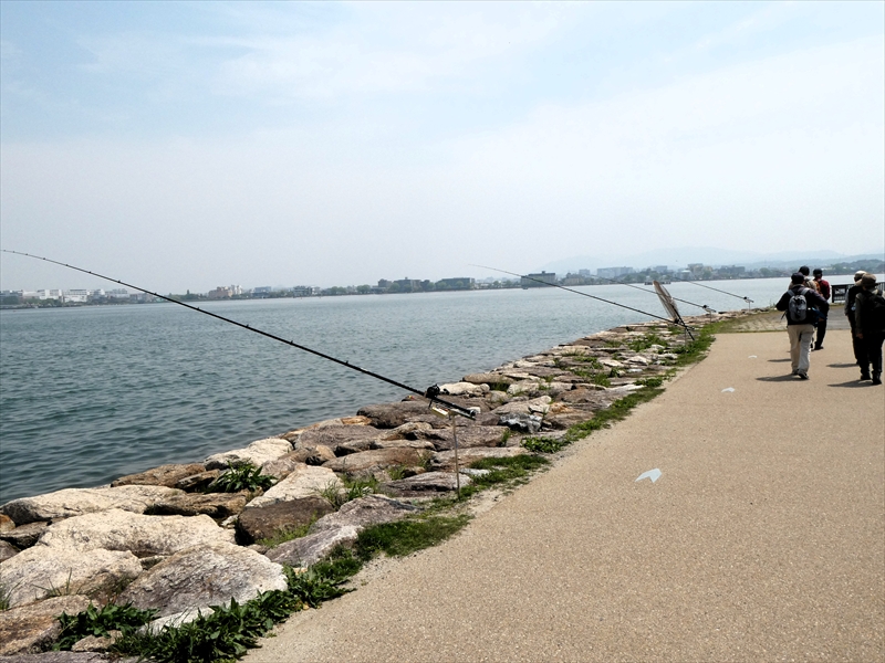 琵琶湖湖岸を歩く