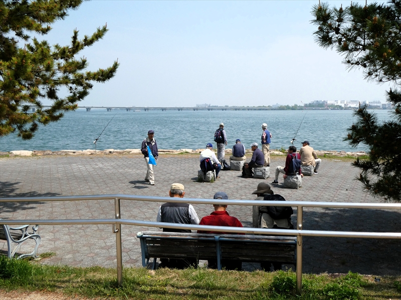 琵琶湖湖岸を歩く