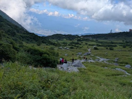 カールとはよく言ったもの