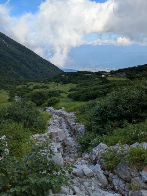 散歩道2/3当たり