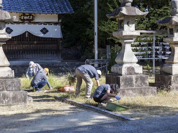 灯ろう回りの草抜き