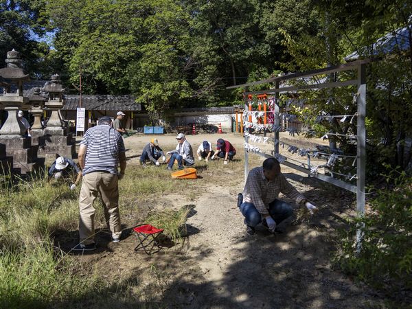 まだまだ雑草が残っています