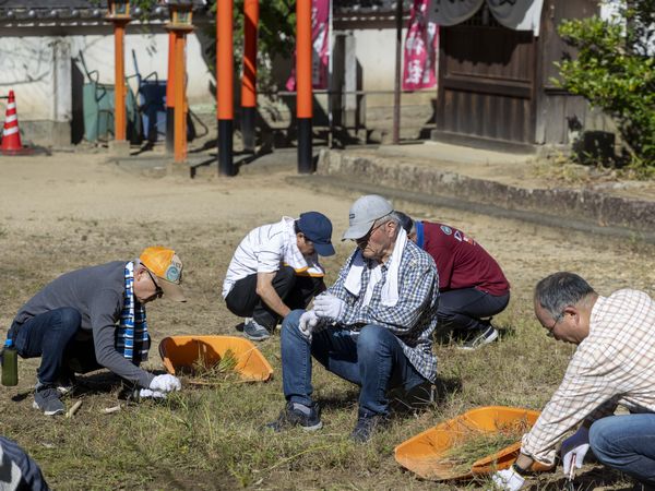 雑草も少なくなってきました