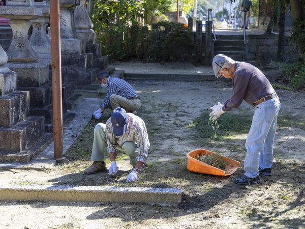 雑草の回収作業
