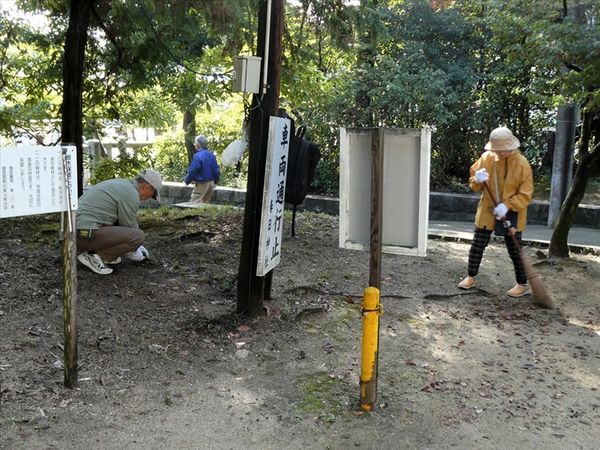 木の周りの清掃