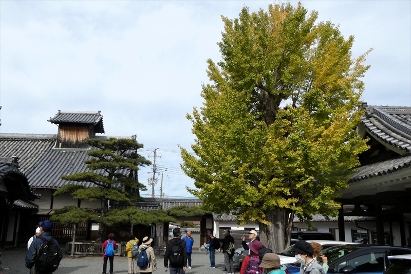 本願寺尾崎別院