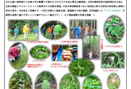 erj-seibutu-report20199727のサムネイル