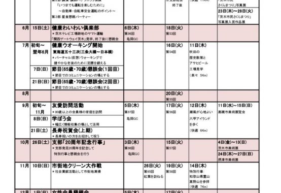 2019action planのサムネイル
