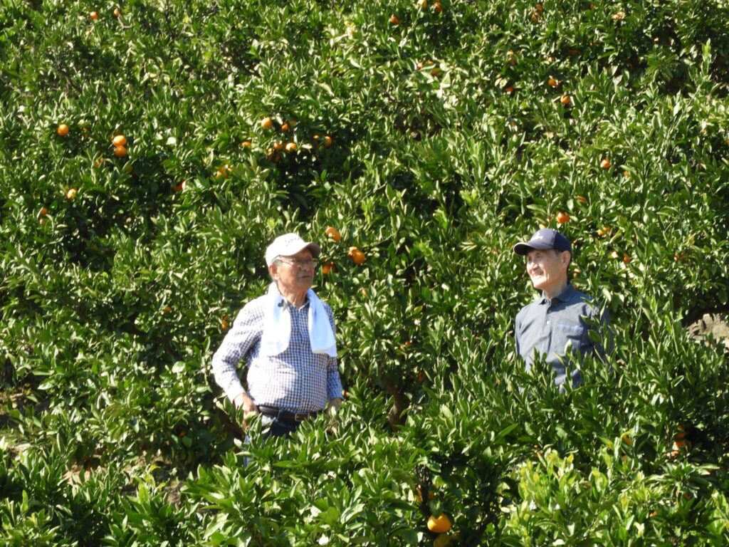 みかんに囲まれて？？