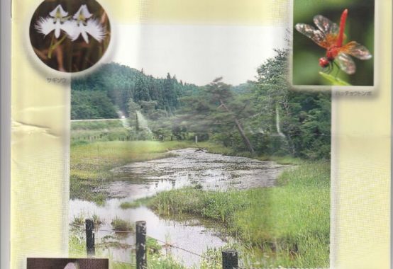 唐津樫原湿原見学１IMG_20200425_0001のサムネイル