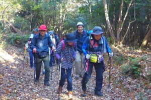 13_木洩れ日の中、進みます！