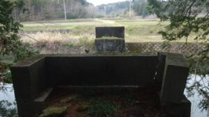 16 三ケ野川橋脚