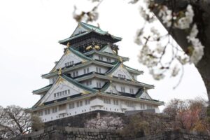 16 北西からの天守と桜