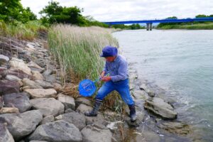 地点⑥-6_鯖戸さん、生き物を採取しました
