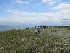 草をかき分け「ゴミや出ておいで」・・