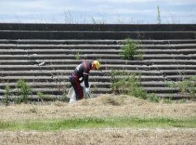 枯れ草の中も入念に探します。