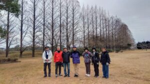 19 玉垣池公園のメタセコイヤ