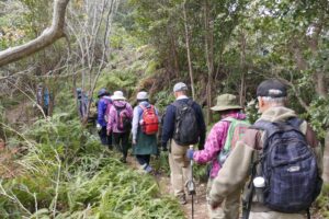 20_このあとは、本格的な山道です