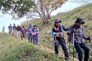 35_山頂からの下山風景です