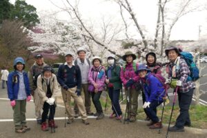 36_朝より開花は進みました!