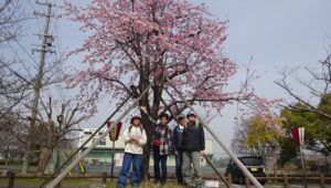 04 大寒桜の前で