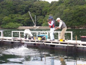 ⑥ Sbさん、青物ゲット～！