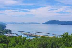 36_監的哨跡の屋上から見た菅島港