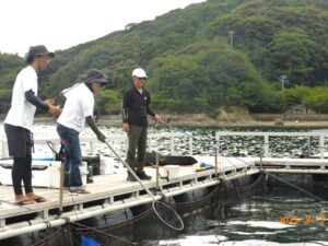 ⑪ Im息子さんがゲット？タイかな？