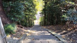 24_113段の階段(降りませんでした)