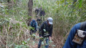 12 草をかき分け線路跡を進む