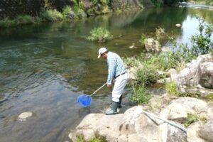 名張・地点①-2_生き物を採集