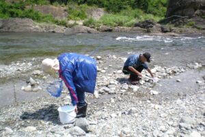 地点③-5_川の生き物を採集中ー1