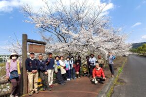 37_大山田･海洋センタの桜並木でー
