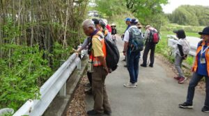 13 橋台跡を探す