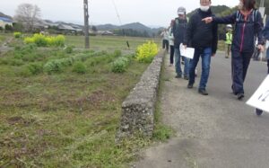 26 誕生寺駅のホーム