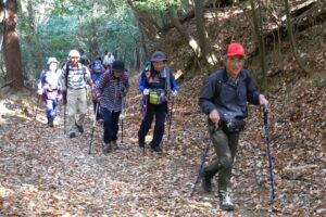 12_柔らかな日差しを受け、進みます！