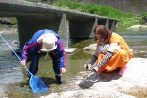 地点③-6_川の生き物を採集中ー2