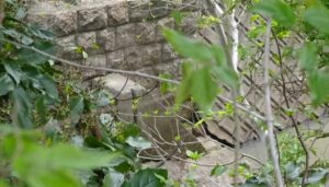 06 相川橋梁遺構