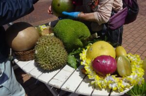 14 熱帯ﾌﾙｰﾂ